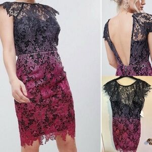 Paper Dolls London Lace Dress Ombre Bodycon  Size 8 NWT‎